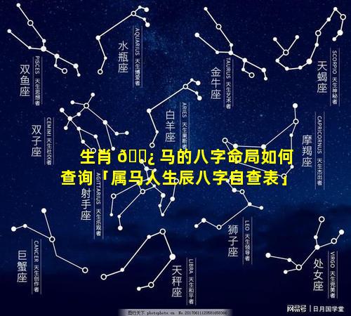 生肖 🌿 马的八字命局如何查询「属马人生辰八字自查表」